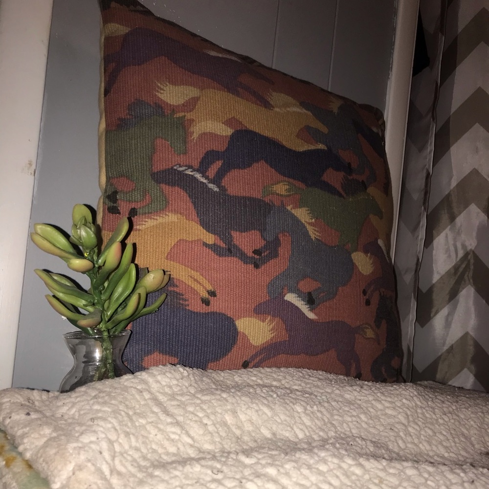 One Of A Kind Horse Pillow !!